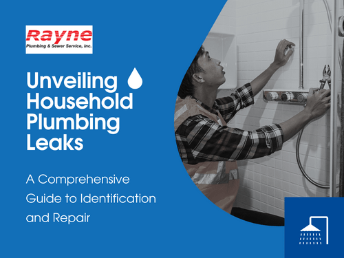 _Unveiling Household Plumbing Leaks